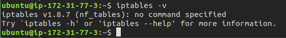 iptables version