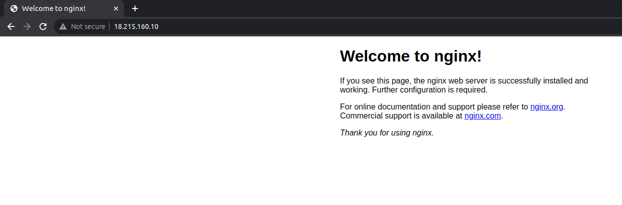 Nginx default page