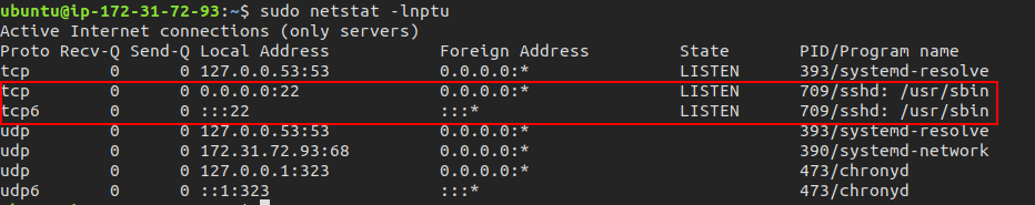 netstat list open ports