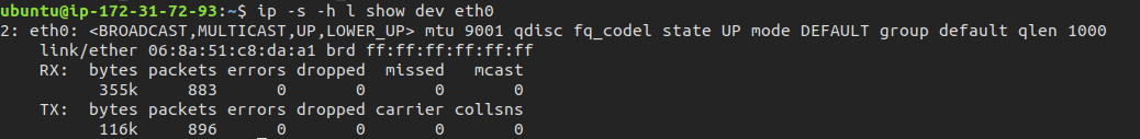 show network stats