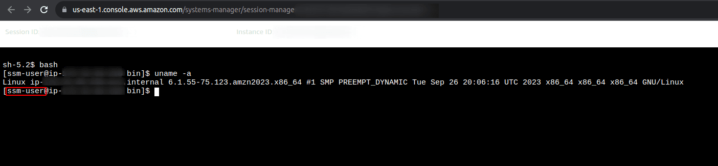 ssm terminal