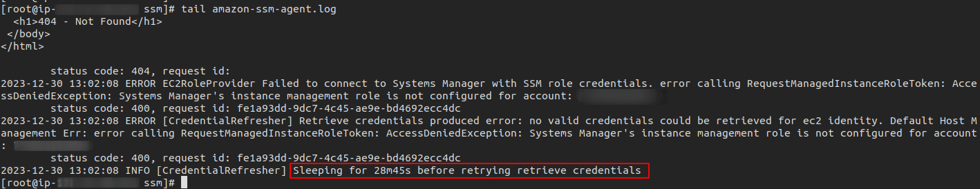 agent logs